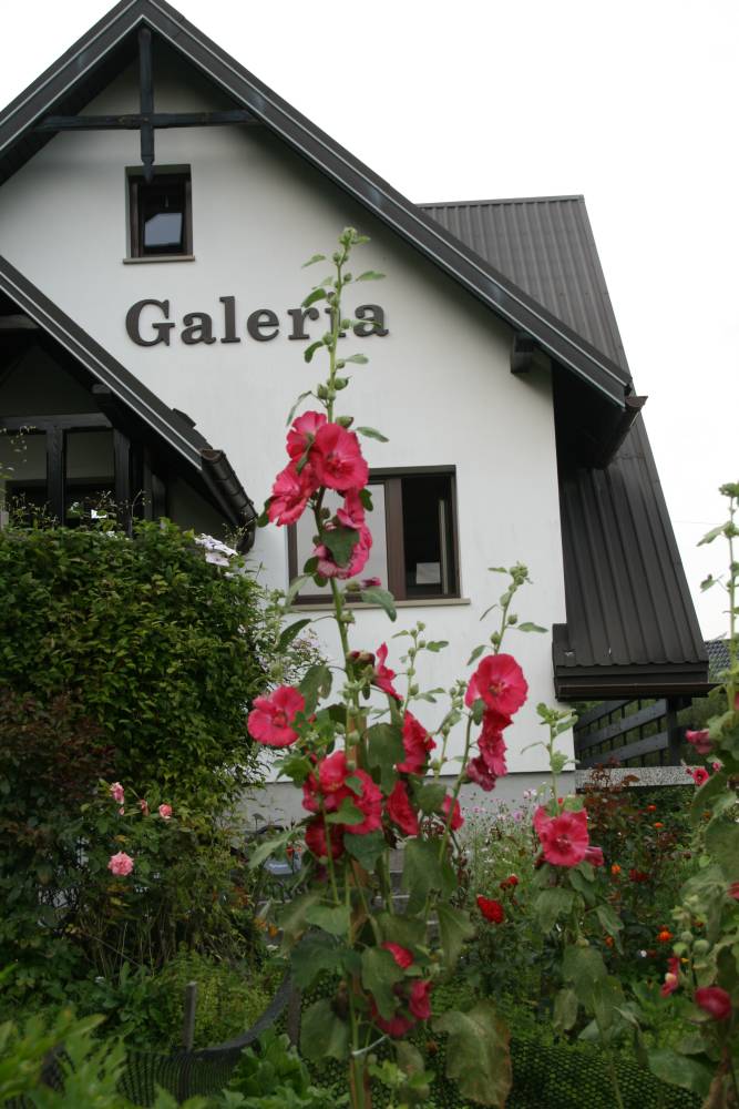 Otwarcie Wiejskiej Galerii Malarstwa - zdjęcie 7