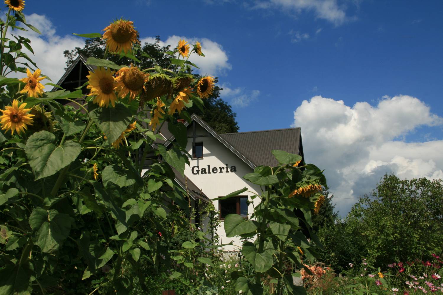 Otwarcie Wiejskiej Galerii Malarstwa - zdjęcie 8